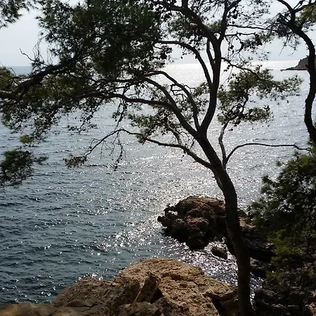 Lägenhet Les Jardins De La